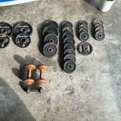 Weights Plates For Barbell Dumbbell Gym Workout Fitness