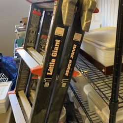 Little Giant Dark Horse Ladder