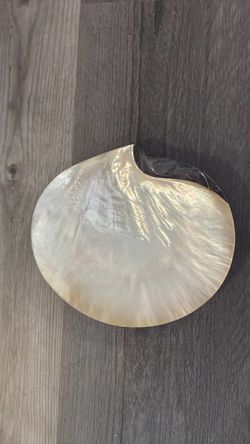 Small Vintage Mother of Pearl dish with metal trim
