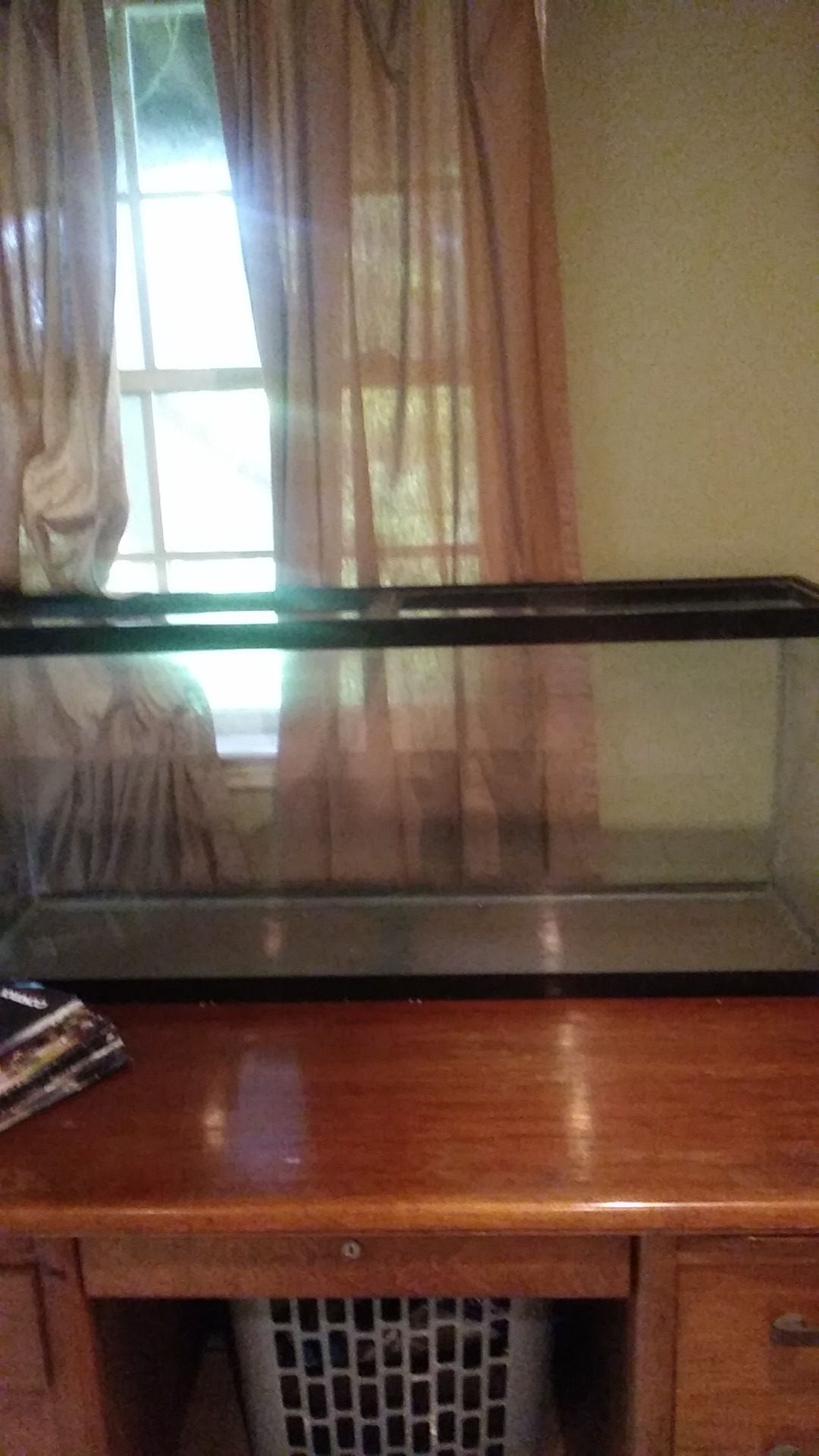 55 gallon tank