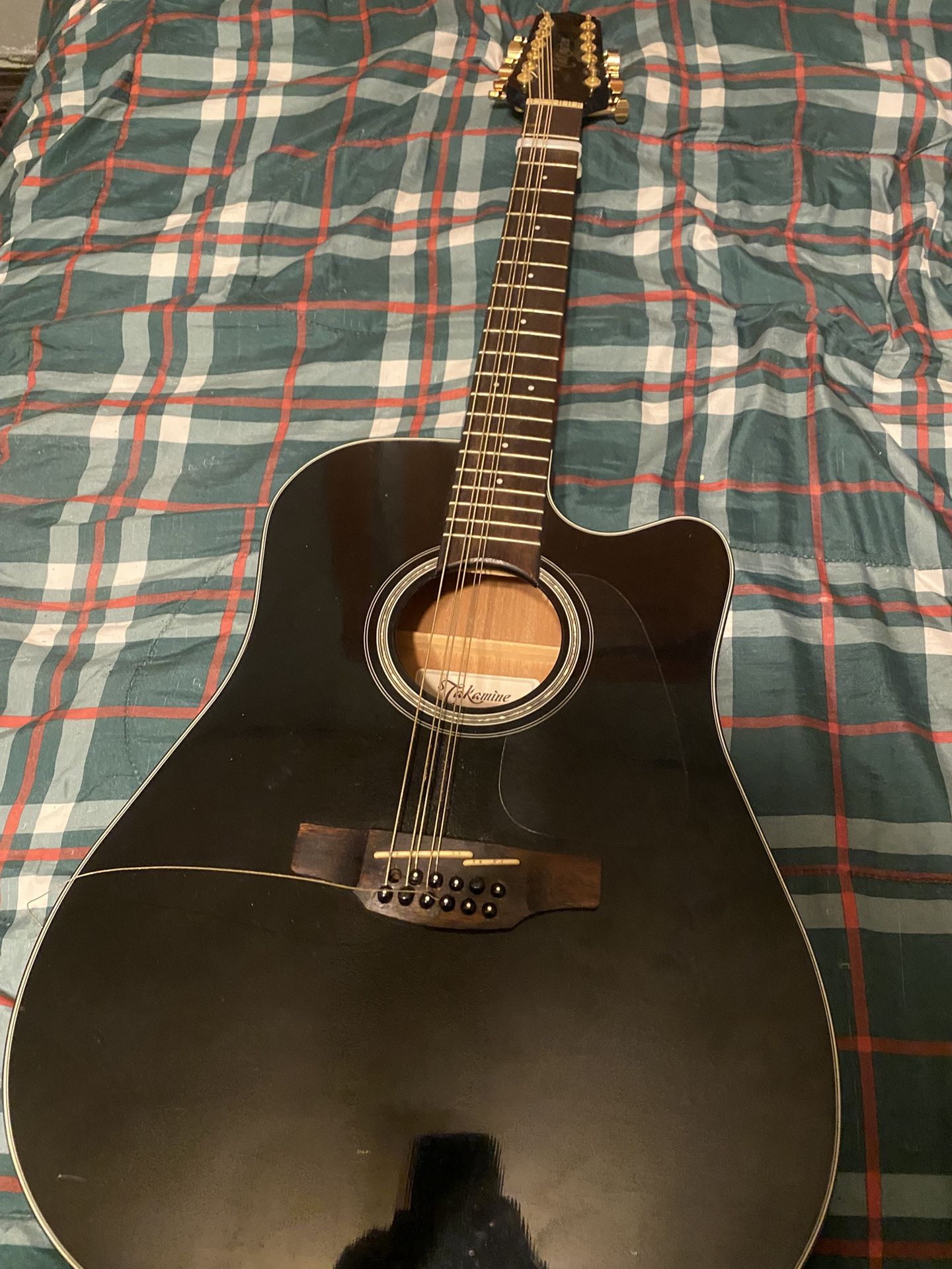 Takamine 12 String