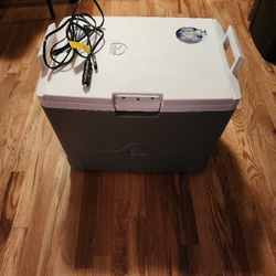 Igloo Refrigerator Cooler