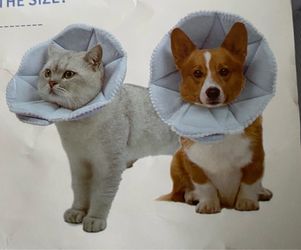 WZ pet recovery cone size s