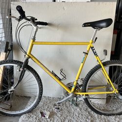 Diamond back Ascent EX