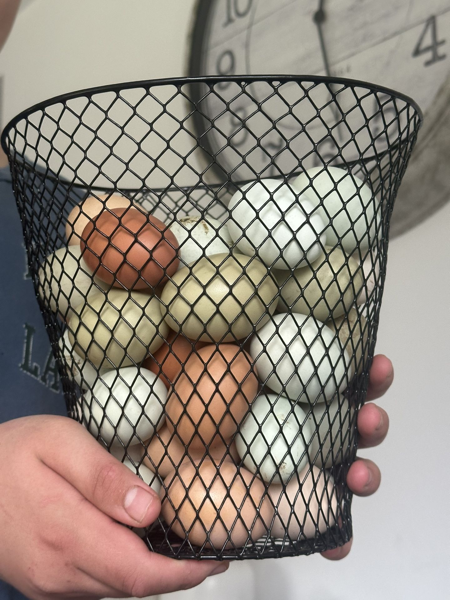 Eggs