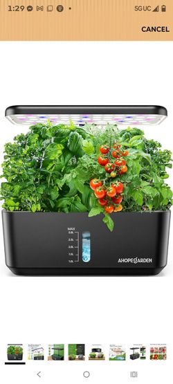 Garden hydroponics growing system