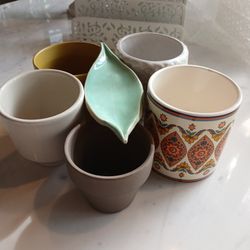 Plants Pots 