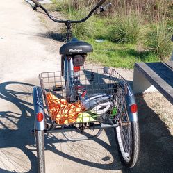 Schwinn Meridian Adult trike