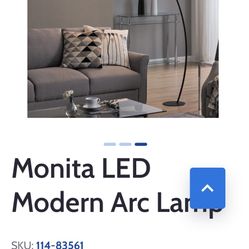 Contemporary LED Floor Lamp