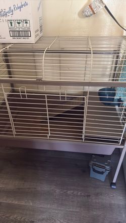 Guinea pig / rabbit cage