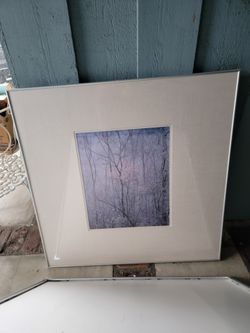 $20 each 4x4 foot framed pictures