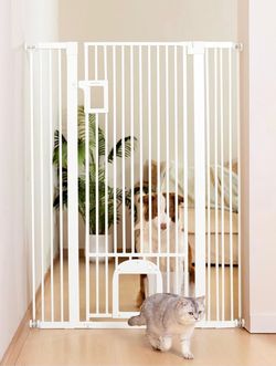 Baby gate with pet door