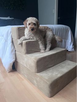 Dog stairs