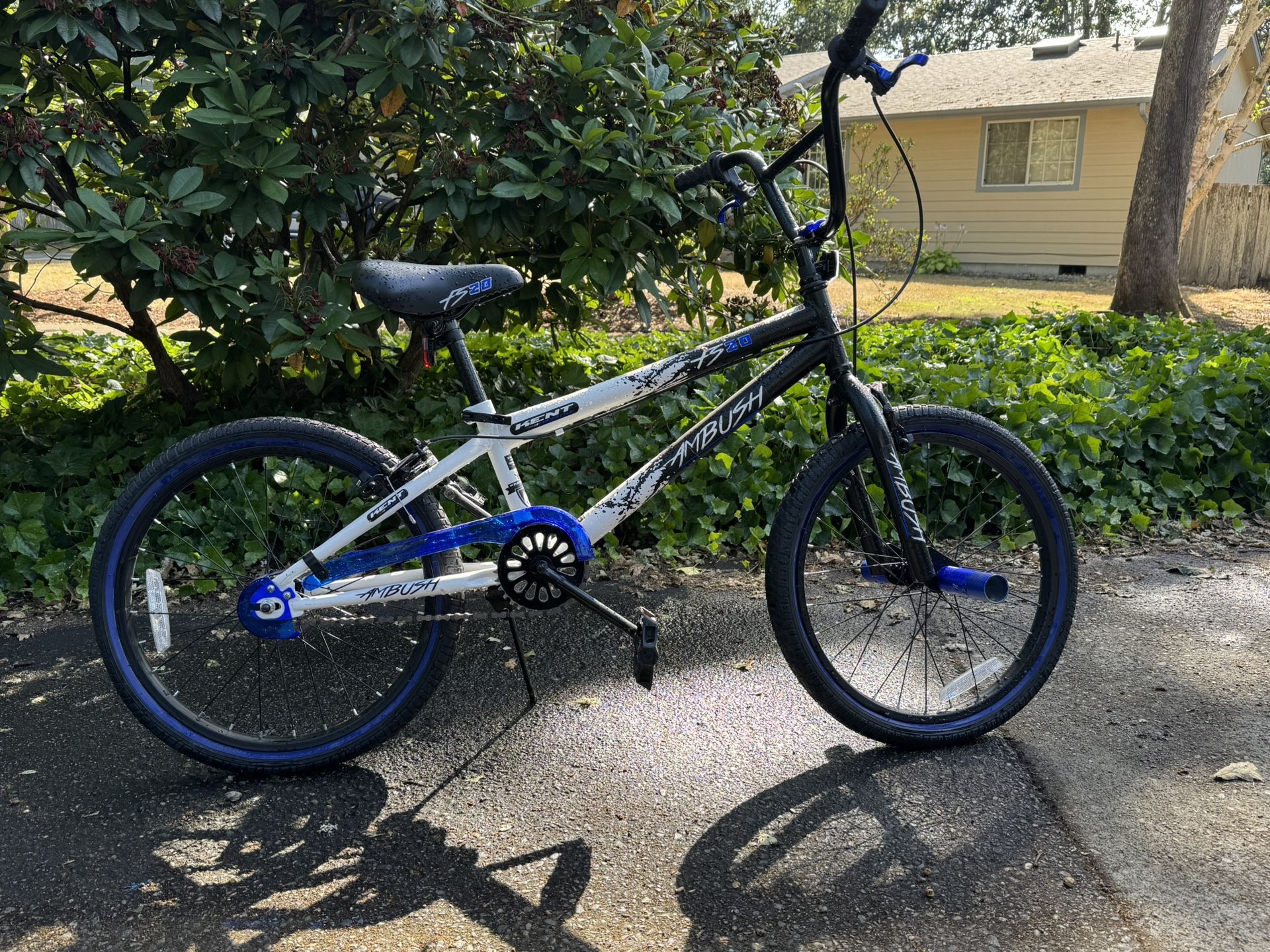 Kent Ambush FS20 $50 OBO