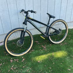 Specialized P3 2020 Dirt Jumper 