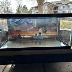 Bearded Dragon Tank 