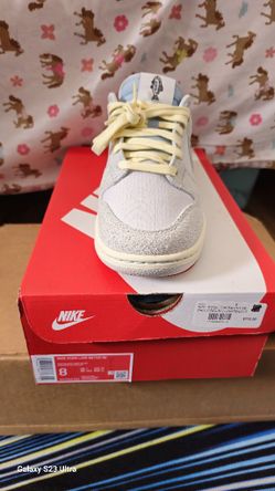 NIKE DUNK LOW RETRO SE PROTON DUST/LIGHT SILVER