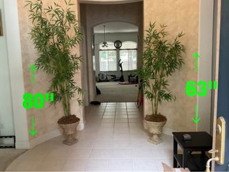 2  bamboo  trees  -  $150  (including  vases)