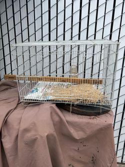 Bird cage