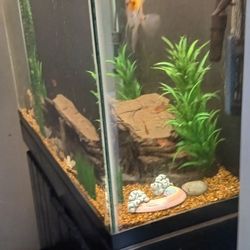 Fish Tank 55 Gallon With Stand, Fish, And A Marineland C360 Filter