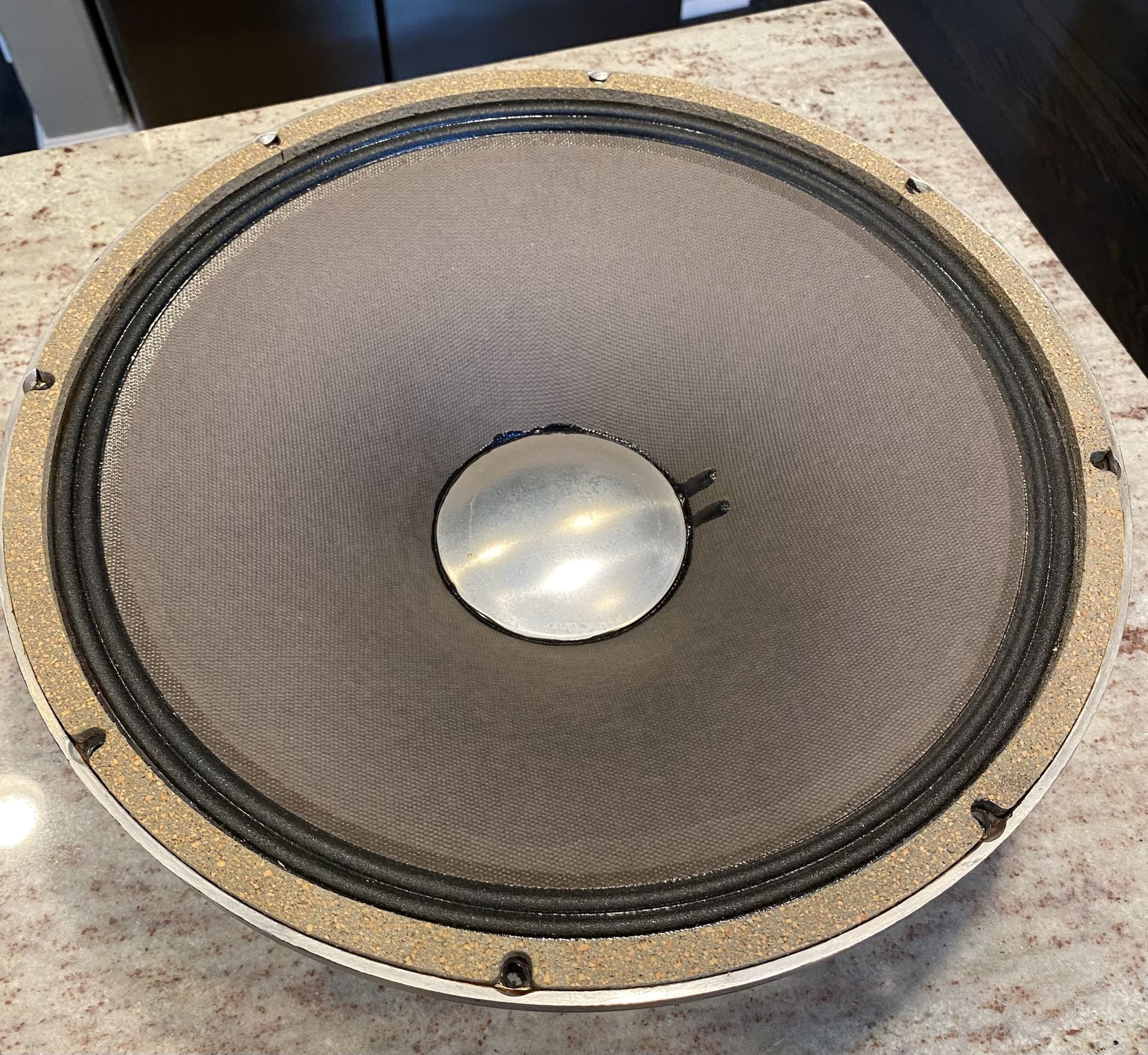 JBL E130-8 Speaker