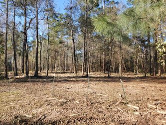 Land Clearing