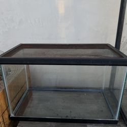 10 Gallon Tank With Lid
