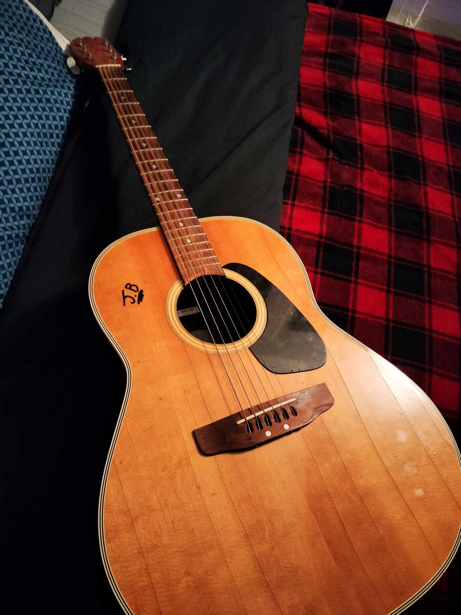 Acoustic Guitar 