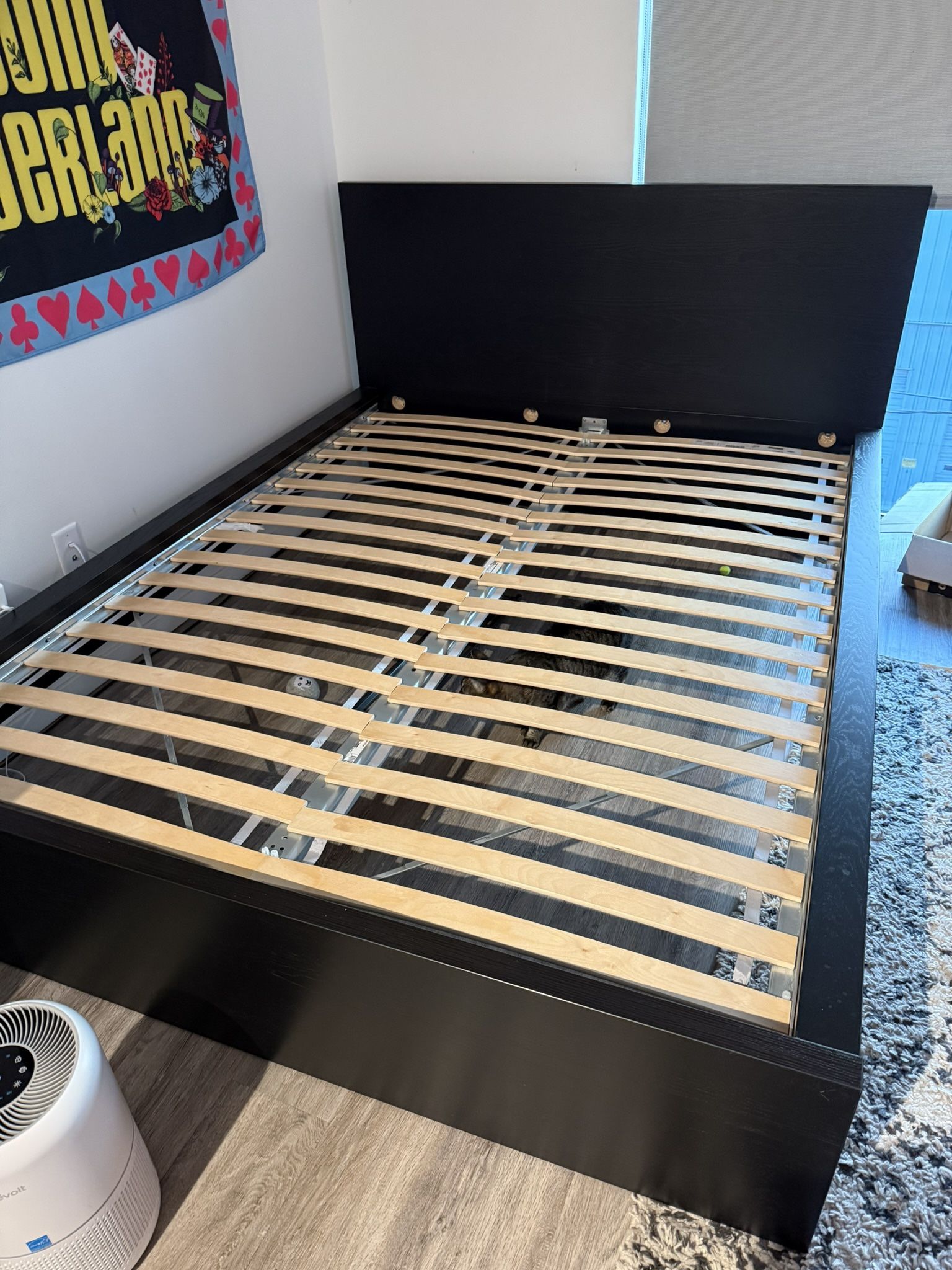 MALM Bed Frame IKEA