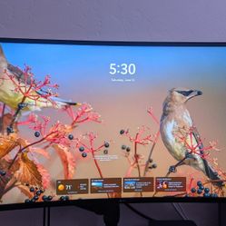 LG 40" 5k Ultra Wide