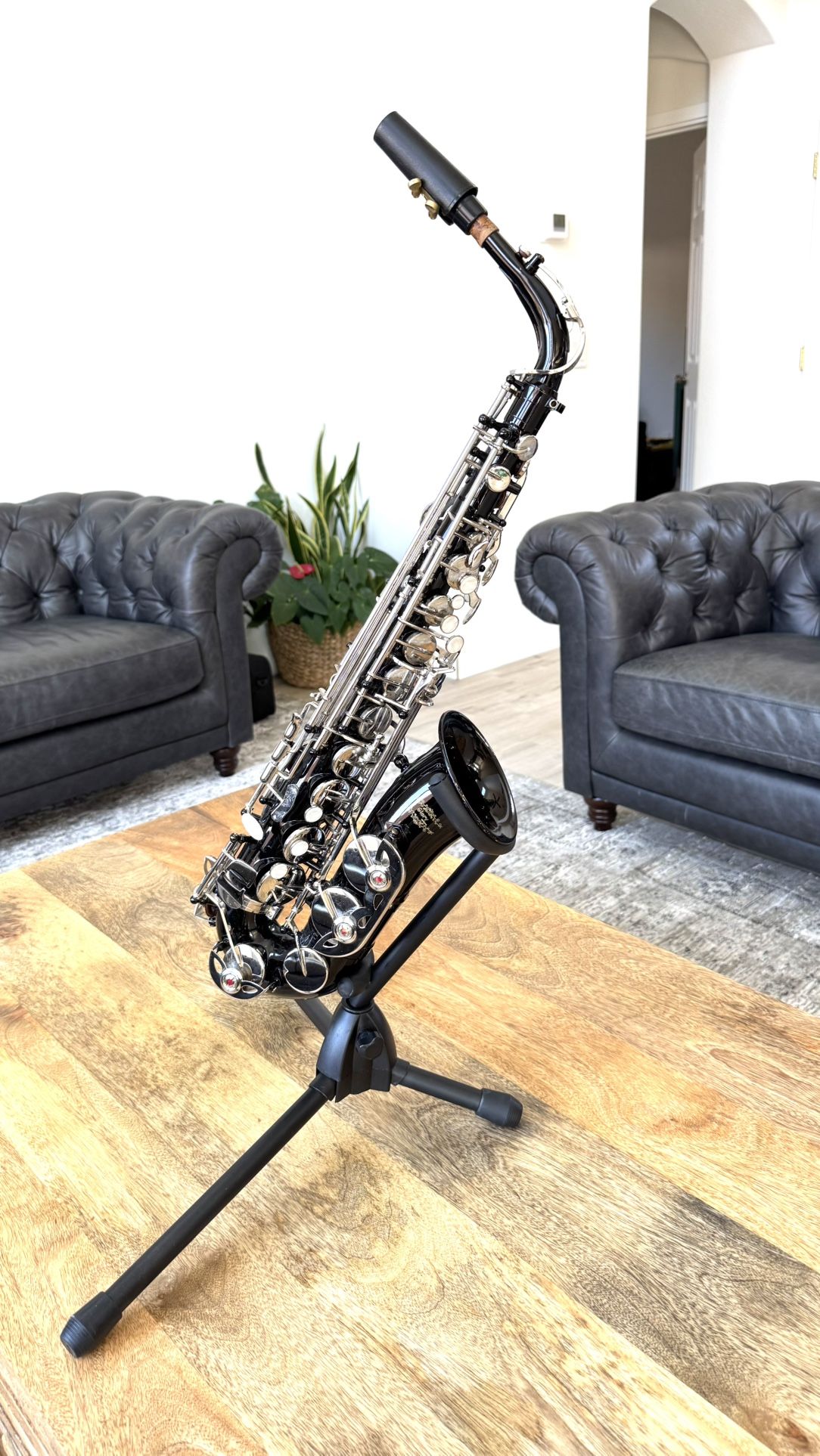 Saxophone Sax
