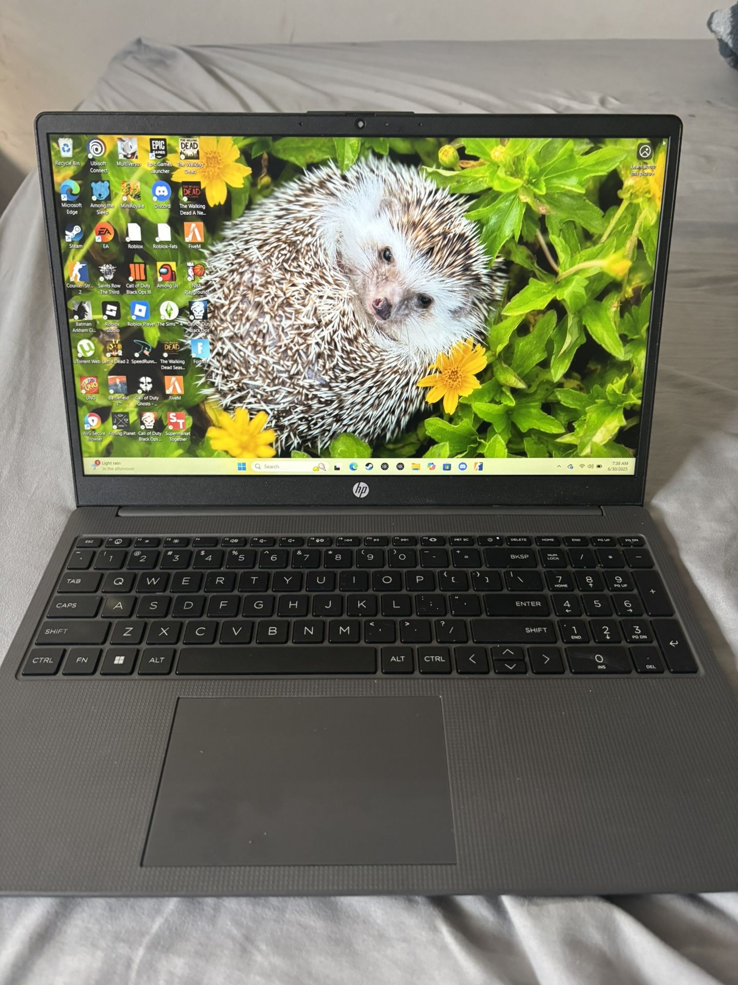 HP G10 Notebook 