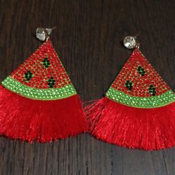 Watermelon 🍉 Earrings