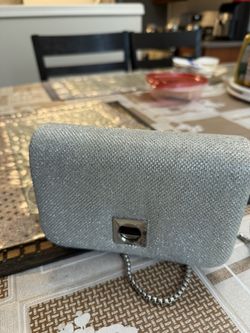 Silver Purse