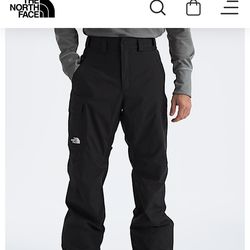 North face freedom pants