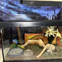 Terrarium