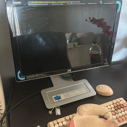 HP Monitor 