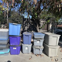 Storage Bins