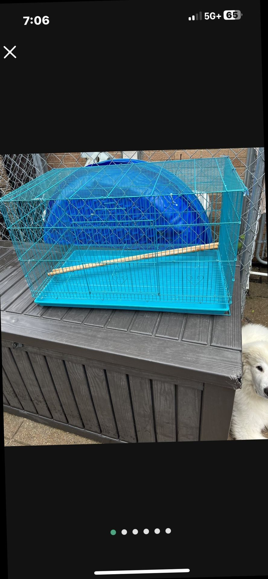 Big Beautiful Bird Cage ποΈ