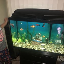 Aquarium 