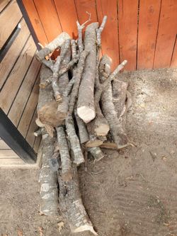 Free Red Wood From Tree