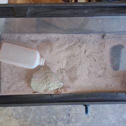 Critter Cage / Aquarium