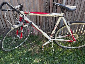 Gioia Libero 1.6 Road Bike and schwinn