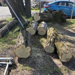 Free wood! Dry Great For Fireplace