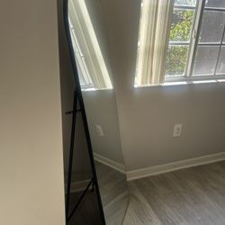 Modern Oval Floor Mirror