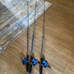 For Fishing Like New All For $70