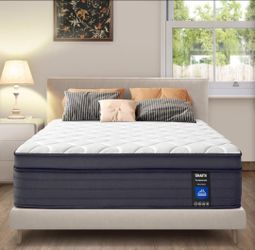 Queen size 14 inch hybrid mattress strong edge support and pocket springs new mattress