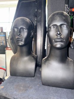 Males display heads