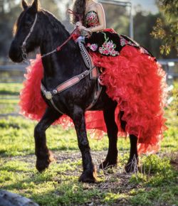 Quinceanera Red Charro Dress  “Must See “