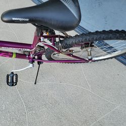 ToadmasterGrandite peak bicycle